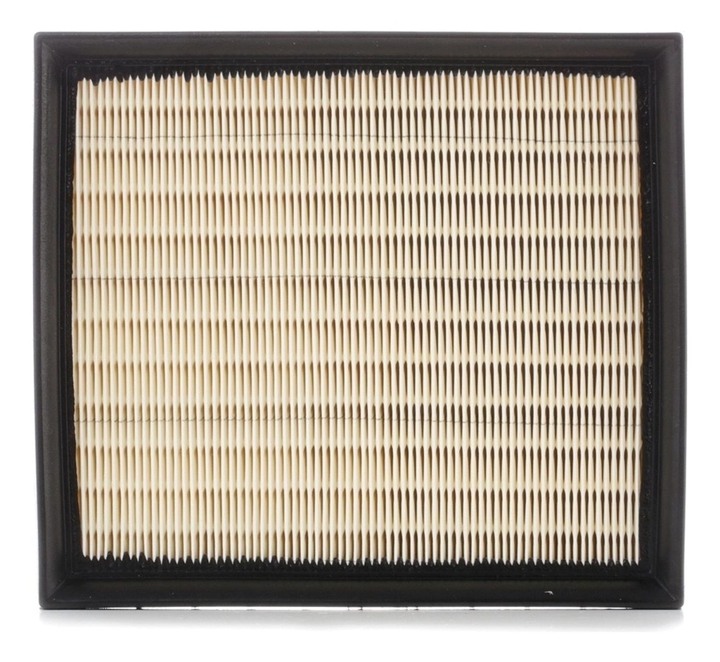 Filtro De Aire Bmw 114d/116d/118d/120d/316d/320d F20-f21