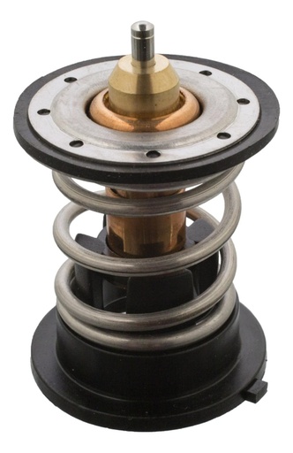 [CP006035] Termostato Bmw 116d/118d/120d/316d/318d/320d F20-f21-f30-f31