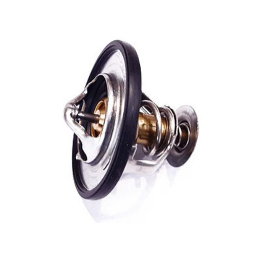 [CP006026] Termostato Maxus T60 2.8