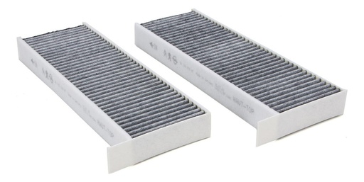 [CP002929] Filtro Polen Doble Peugeot 3008 Teppee C4 Ds7 Ds3 Grandland