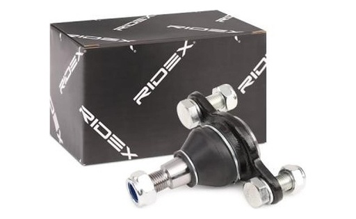 [CP005211] Rotula ( Ambos Lados) Transporter
