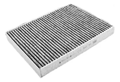 [CP002827] Filtro De Polen Amarok 2010-2022