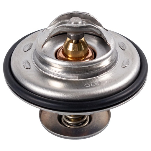 [CP009439] Termostato 316/318 E30-E36